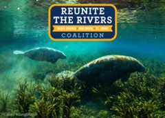 Protecting Manatees with Policy and Purpose