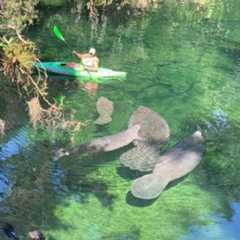 Volunteer Spotlight: Shari Dworkin-Smith