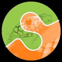scikit-image's logo, showing a snake's head overlayed with green and orange