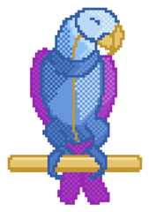Bird.png