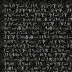 scp1050_1image08_zoom.gif