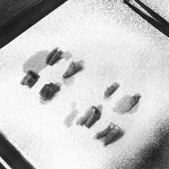toothtray.jpg