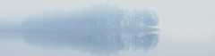 header.png