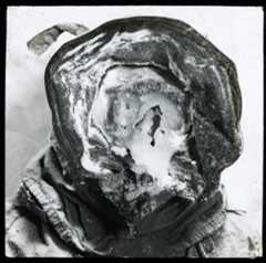 antarctic_richards.jpg