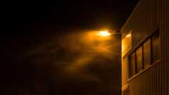 lamplight1.jpg
