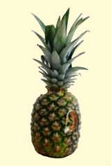 painapple.png