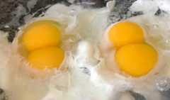 Egg.jpg