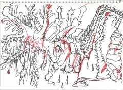 edited%20drawing.JPG