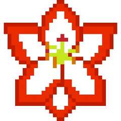 Amaryllis