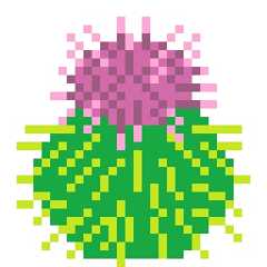 Burdock