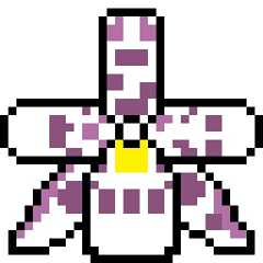 Odontoglossum