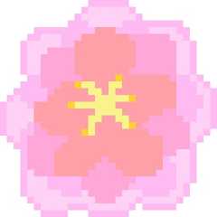 PeachBlossom