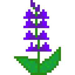 Sage