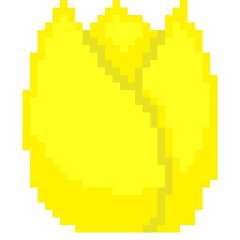 Tulip