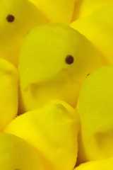 scp9