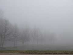 fog
