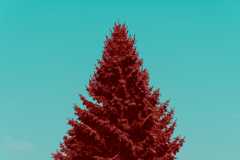 scp867.webp