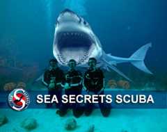 Photo of Sea Secrets Scuba