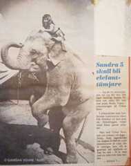 Article on little Ganesha in the circus