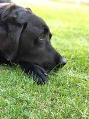 IMG_1343.jpeg