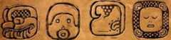 Mayan Hieroglyphs, Codical