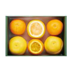 京橋千疋屋 くりぬきゼリーセット