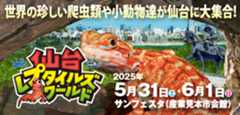 バナー520x250px