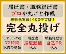完全丸投げ　履歴書や職務経歴書をプロが作成します ゼロから作成/納品時ポイント解説付　総販売実績1400件突破