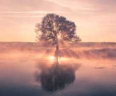 あなたの《潜在意識》《高次元》へ アクセスします ☆チャネリングで本当に望む未来へ導きます☆