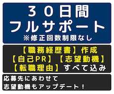 職務経歴書・作成代行！1週間で転職準備が完了します 【1ヶ月で内定！】を目指す職務経歴書・作成代行（自己分析付）