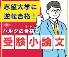 受験直前！小論文の徹底オンライン指導します 13年間予備校で教えてきた講師による合格できる小論文指導
