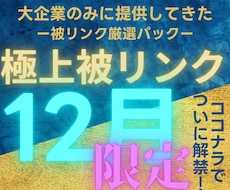 2025年12月限定で大企業と同じ被リンク貼ります なぜ成功している大企業と御社で結果に差が付くの？答えは○○！
