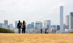 豊洲市場屋上芝生広場