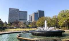 日比谷公園の芝生広場