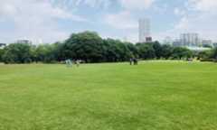 新宿御苑の芝生（5月中旬）