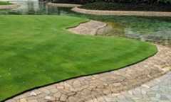 東京ディズニーランドの池