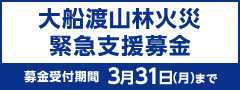 大船渡山林火災 緊急支援募金（～03/31）