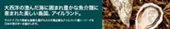 〈持続可能性追求するアイルランドの食料生産〉シーフード編①大西洋の自然が育む恵み 海洋資源の保護に重点