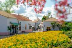 サンタクルス通り