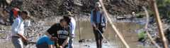 The Tarkio Valley Sloth Project