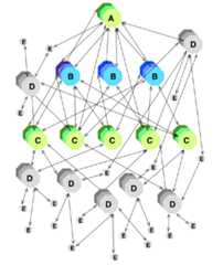 이용자 중심 네트워크