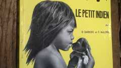 Who will save Paraná?