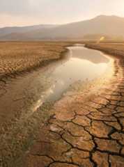 Water scarcity