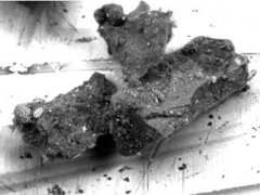 小惑星リュウグウのサンプルから “全く予想外の鉱物” を発見