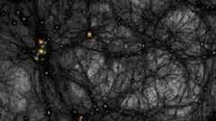 見えない“暗黒物質”が描く宇宙のクモの巣 シミュレーションによるダークマターマップ