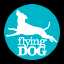 FlyingDog