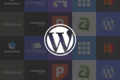The 10 Best WordPress Developer Hosting Packages in 2025