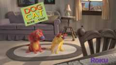 Dog Cat Blog Chat by Spiffy Pictures