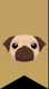 Pug