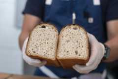 Whale Wins Srweek 02